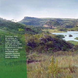A principal causa
de incêndios na
floresta tropical é
a ação desordenada
provocada pelo homem
que, ao promover o
desmatamento e utilizar
o fogo de maneira
desordenada, cria
condições favoráveis
para a ocorrência de
grandes incêndios.
A principal causa
de incêndios na
floresta tropical é
a ação desordenada
provocada pelo homem
que, ao promover o
desmatamento e utilizar
o fogo de maneira
desordenada, cria
condições favoráveis
para a ocorrência de
grandes incêndios.
 