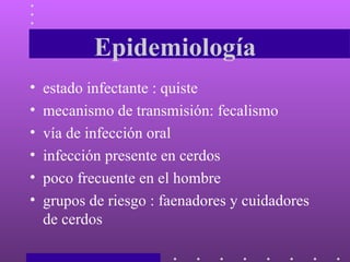 Epidemiología estado infectante : quiste  mecanismo de transmisión: fecalismo vía de infección oral  infección presente en cerdos  poco frecuente en el hombre grupos de riesgo : faenadores y cuidadores de cerdos  