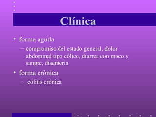 Clínica forma aguda compromiso del estado general, dolor abdominal tipo cólico, diarrea con moco y sangre, disentería  forma crónica colitis crónica  