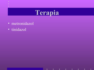 Terapia metronidazol tinidazol 