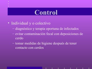 Control Individual y o colectivo diagnóstico y terapia oportuna de infectados evitar contaminación fecal con deposiciones de cerdo tomar medidas de higiene después de tener contacto con cerdos  