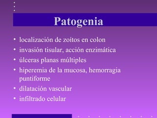 Patogenia
• localización de zoítos en colon
• invasión tisular, acción enzimática
• úlceras planas múltiples
• hiperemia de la mucosa, hemorragia
  puntiforme
• dilatación vascular
• infiltrado celular
 