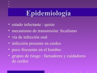 Epidemiología
• estado infectante : quiste
• mecanismo de transmisión: fecalismo
• vía de infección oral
• infección presente en cerdos
• poco frecuente en el hombre
• grupos de riesgo : faenadores y cuidadores
de cerdos
 