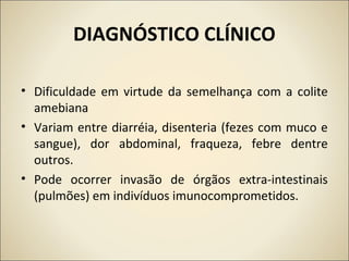 DIAGNÓSTICO CLÍNICO
• Dificuldade em virtude da semelhança com a colite
amebiana
• Variam entre diarréia, disenteria (fezes com muco e
sangue), dor abdominal, fraqueza, febre dentre
outros.
• Pode ocorrer invasão de órgãos extra-intestinais
(pulmões) em indivíduos imunocomprometidos.
 