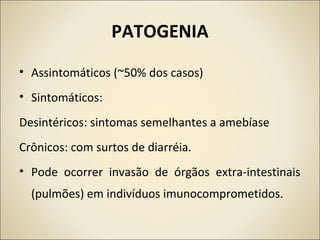 PATOGENIA
• Assintomáticos (~50% dos casos)
• Sintomáticos:
Desintéricos: sintomas semelhantes a amebíase
Crônicos: com surtos de diarréia.
• Pode ocorrer invasão de órgãos extra-intestinais
(pulmões) em indivíduos imunocomprometidos.
 