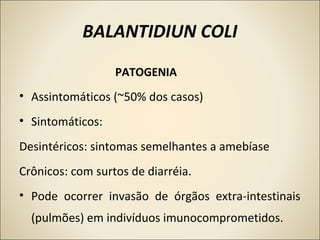 BALANTIDIUN COLI
PATOGENIA
• Assintomáticos (~50% dos casos)
• Sintomáticos:
Desintéricos: sintomas semelhantes a amebíase
Crônicos: com surtos de diarréia.
• Pode ocorrer invasão de órgãos extra-intestinais
(pulmões) em indivíduos imunocomprometidos.
 