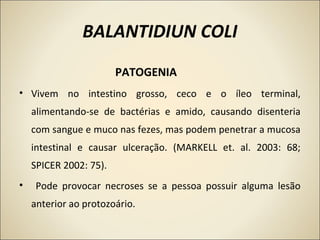 BALANTIDIUN COLI
PATOGENIA
• Vivem no intestino grosso, ceco e o íleo terminal,
alimentando-se de bactérias e amido, causando disenteria
com sangue e muco nas fezes, mas podem penetrar a mucosa
intestinal e causar ulceração. (MARKELL et. al. 2003: 68;
SPICER 2002: 75).
• Pode provocar necroses se a pessoa possuir alguma lesão
anterior ao protozoário.
 