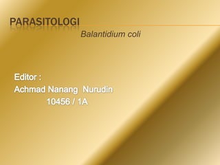 PARASITOLOGI
               Balantidium coli
 