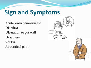 Sign and Symptoms
Acute ,even hemorrhagic
Diarrhea
Ulceration to gut wall
Dysentery
Colitis
Abdominal pain

 