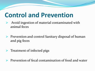 Control and Prevention
 Avoid ingestion of material contaminated with

animal feces
 Prevention and control Sanitary disposal of human

and pig feces
 Treatment of infected pigs
 Prevention of fecal contamination of food and water

 