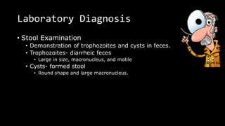 Laboratory Diagnosis
• Stool Examination
• Demonstration of trophozoites and cysts in feces.
• Trophozoites- diarrheic feces
• Large in size, macronucleus, and motile
• Cysts- formed stool
• Round shape and large macronucleus.
 