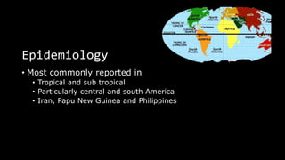 Epidemiology
• Most commonly reported in
• Tropical and sub tropical
• Particularly central and south America
• Iran, Papu New Guinea and Philippines
 