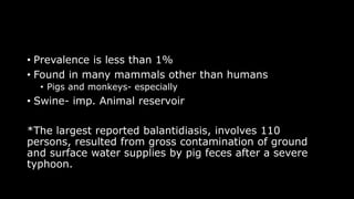 • Prevalence is less than 1%
• Found in many mammals other than humans
• Pigs and monkeys- especially
• Swine- imp. Animal reservoir
*The largest reported balantidiasis, involves 110
persons, resulted from gross contamination of ground
and surface water supplies by pig feces after a severe
typhoon.
 