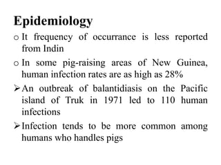 Epidemiology
o It frequency of occurrance is less reported
from Indin
o In some pig-raising areas of New Guinea,
human infection rates are as high as 28%
An outbreak of balantidiasis on the Pacific
island of Truk in 1971 led to 110 human
infections
Infection tends to be more common among
humans who handles pigs
 