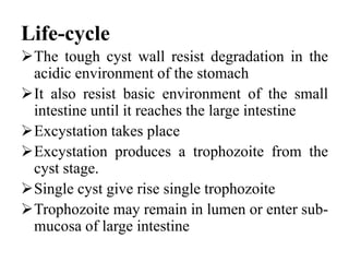 Life-cycle
The tough cyst wall resist degradation in the
acidic environment of the stomach
It also resist basic environment of the small
intestine until it reaches the large intestine
Excystation takes place
Excystation produces a trophozoite from the
cyst stage.
Single cyst give rise single trophozoite
Trophozoite may remain in lumen or enter sub-
mucosa of large intestine
 