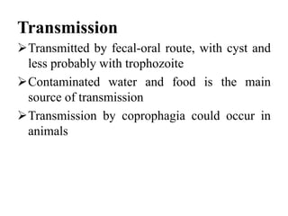 Transmission
Transmitted by fecal-oral route, with cyst and
less probably with trophozoite
Contaminated water and food is the main
source of transmission
Transmission by coprophagia could occur in
animals
 