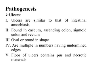 Pathogenesis
Ulcers:
I. Ulcers are similar to that of intestinal
amoebiasis
II. Found in caecum, ascending colon, sigmoid
colon and rectum
III. Oval or round in shape
IV. Are multiple in numbers having undermined
edges
V. Floor of ulcers contains pus and necrotic
materials
 
