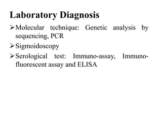 Laboratory Diagnosis
Molecular technique: Genetic analysis by
sequencing, PCR
Sigmoidoscopy
Serological test: Immuno-assay, Immuno-
fluorescent assay and ELISA
 