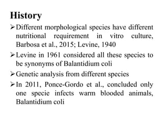 History
Different morphological species have different
nutritional requirement in vitro culture,
Barbosa et al., 2015; Levine, 1940
Levine in 1961 considered all these species to
be synonyms of Balantidium coli
Genetic analysis from different species
In 2011, Ponce-Gordo et al., concluded only
one specie infects warm blooded animals,
Balantidium coli
 