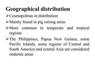 Geographical distribution
Cosmopolitan in distribution
Mainly found in pig raising areas
More common in temperate and tropical
regions
The Philippines, Papua New Guinea, some
Pacific Islands, some regions of Central and
South America and central Asia are considered
endemic areas
 