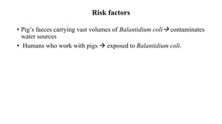 Risk factors
• Pig’s faeces carrying vast volumes of Balantidium coli contaminates
water sources
• Humans who work with pigs  exposed to Balantidium coli.
 
