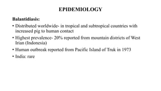 EPIDEMIOLOGY
Balantidiasis:
• Distributed worldwide- in tropical and subtropical countries with
increased pig to human contact
• Highest prevalence- 20% reported from mountain districts of West
Irian (Indonesia)
• Human outbreak reported from Pacific Island of Truk in 1973
• India: rare
 