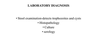 LABORATORY DIAGNOSIS
• Stool examination-detects trophozoites and cysts
• Histopathology
• Culture
• serology
 