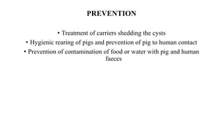PREVENTION
• Treatment of carriers shedding the cysts
• Hygienic rearing of pigs and prevention of pig to human contact
• Prevention of contamination of food or water with pig and human
faeces
 