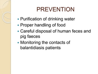 PREVENTION
 Purification of drinking water
 Proper handling of food
 Careful disposal of human feces and
pig faeces
 Monitoring the contacts of
balantidiasis patients
 