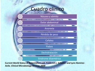 Cuadro clínico 
Náusea y vómito 
Dolor abdominal 
Anorexia 
Pérdida de peso 
Cefalea 
Fiebre 
Deshidratación 
Síndrome disentérico 
Current World Status of Balantidium coli, Frederich L. Schuster and Lynn Ramirez- 
Avila. Clinical Microbiology Review; 2008 
 