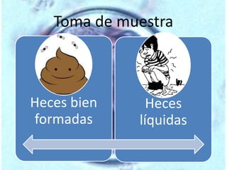 Toma de muestra 
Heces bien 
formadas 
Heces 
líquidas 
 