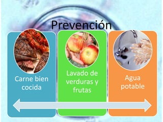Prevención 
Carne bien 
cocida 
Lavado de 
verduras y 
frutas 
Agua 
potable 
 
