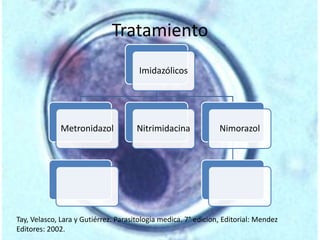 Tratamiento 
Imidazólicos 
Metronidazol Nitrimidacina Nimorazol 
Tay, Velasco, Lara y Gutiérrez. Parasitologia medica. 7° edicion, Editorial: Mendez 
Editores: 2002. 
 