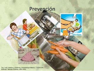 Prevención 
Tay, Lara, Velasco y Gutierrez, Parasitología Médica, 7° EDICION, 
Editorial: Méndez Editores. AÑO 2002. 
