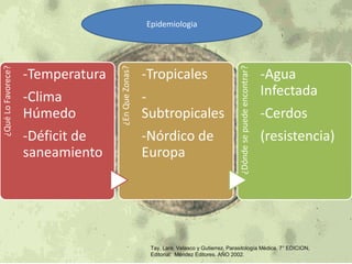 -Temperatura 
-Clima 
Húmedo 
-Déficit de 
saneamiento 
-Tropicales 
- 
Subtropicales 
-Nórdico de 
Europa 
-Agua 
Infectada 
-Cerdos 
(resistencia) 
Epidemiologia 
Tay, Lara, Velasco y Gutierrez, Parasitología Médica, 7° EDICION, 
Editorial: Méndez Editores. AÑO 2002. 
 