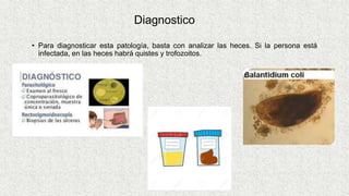 Diagnostico
• Para diagnosticar esta patología, basta con analizar las heces. Si la persona está
infectada, en las heces habrá quistes y trofozoitos.
 