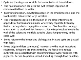 Balantidium coli medical parasitology lab | PPTX