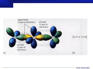 Prof.Dr. İbrahim USLU
 