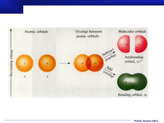 Prof.Dr. İbrahim USLU
 