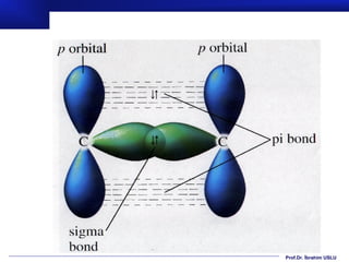 Prof.Dr. İbrahim USLU
 