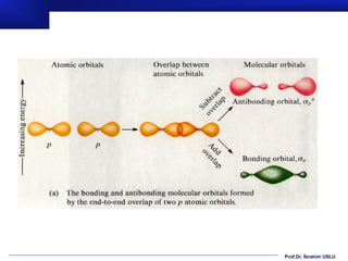 Prof.Dr. İbrahim USLU
 