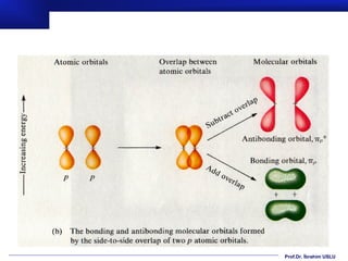 Prof.Dr. İbrahim USLU
 