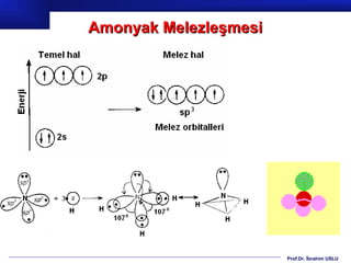 Amonyak Melezleşmesi




                       Prof.Dr. İbrahim USLU
 
