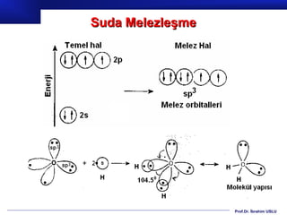 Suda Melezleşme




                  Prof.Dr. İbrahim USLU
 