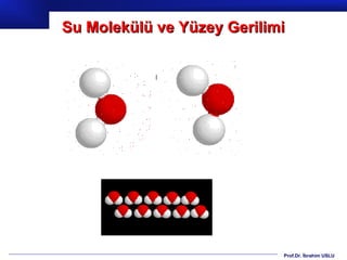 Su Molekülü ve Yüzey Gerilimi




                            Prof.Dr. İbrahim USLU
 