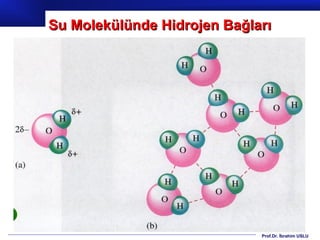 Su Molekülünde Hidrojen Bağları




                             Prof.Dr. İbrahim USLU
 