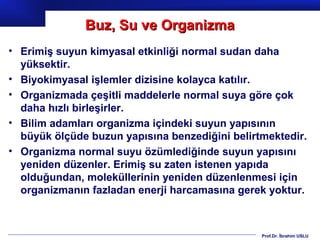 Buz, Su ve Organizma
• Erimiş suyun kimyasal etkinliği normal sudan daha
  yüksektir.
• Biyokimyasal işlemler dizisine kolayca katılır.
• Organizmada çeşitli maddelerle normal suya göre çok
  daha hızlı birleşirler.
• Bilim adamları organizma içindeki suyun yapısının
  büyük ölçüde buzun yapısına benzediğini belirtmektedir.
• Organizma normal suyu özümlediğinde suyun yapısını
  yeniden düzenler. Erimiş su zaten istenen yapıda
  olduğundan, moleküllerinin yeniden düzenlenmesi için
  organizmanın fazladan enerji harcamasına gerek yoktur.



                                                Prof.Dr. İbrahim USLU
 