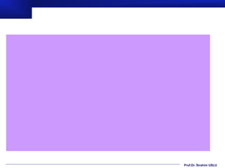 Prof.Dr. İbrahim USLU
 