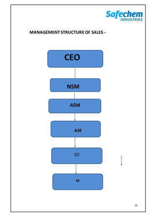 13
SO
SE
MANAGEMENT STRUCTUREOF SALES -
CEO
NSM
ASM
ASE
 