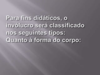 Para fins didáticos, o invólucro será classificado nos seguintes tipos:Quanto à forma do corpo: 